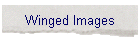 Winged Images