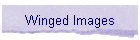 Winged Images